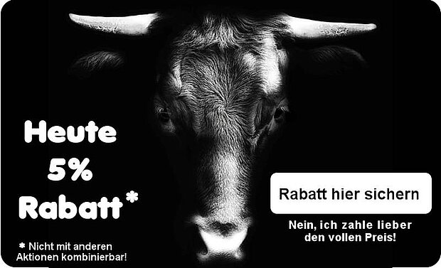 Kampagnen-Spezialfunktion im Online-Shop-System