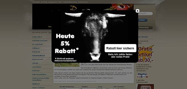 Kampagnen-Spezialfunktion im Online-Shop-System